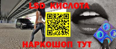 шишки Новокубанск