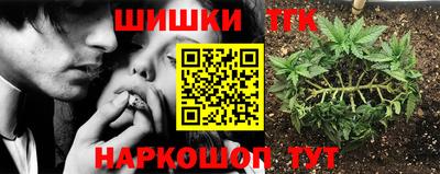 шишки Новокубанск