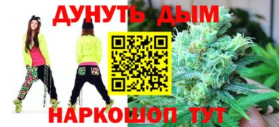 альфа пвп Новодвинск