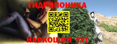 альфа пвп Новодвинск
