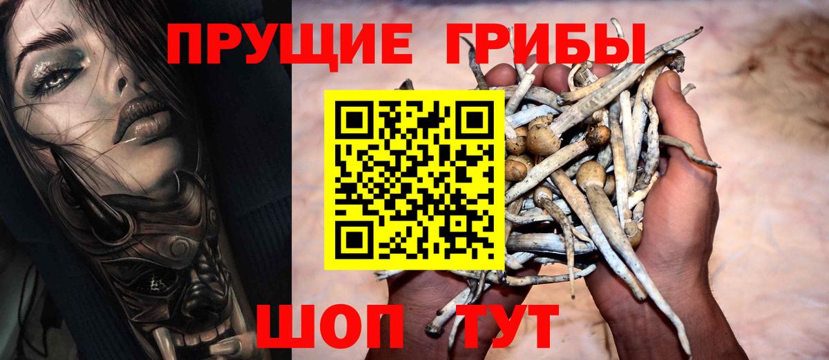 Галлюциногенные грибы прущие грибы  Вход с VPN  Шелехов  Галлюциногенные грибы Cubensis 